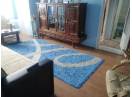 Apartament cu 2 camere decomandate in Manastur Grigore Alexandrescu